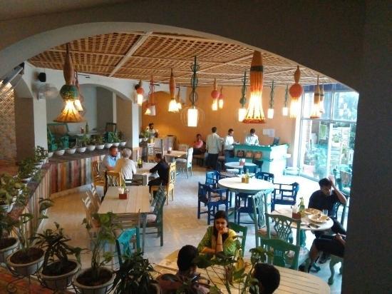 The Potbelly